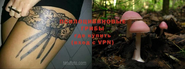 a pvp Нея