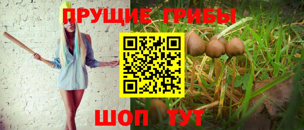 Галлюциногенные грибы Cubensis Дубна