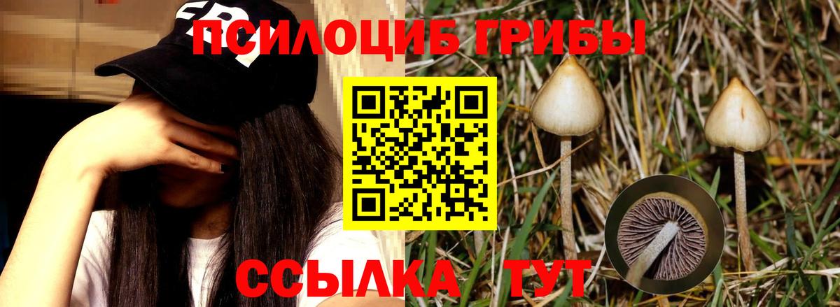 Псилоцибиновые грибы Magic Shrooms  Дубна  Псилоцибиновые грибы мухоморы 