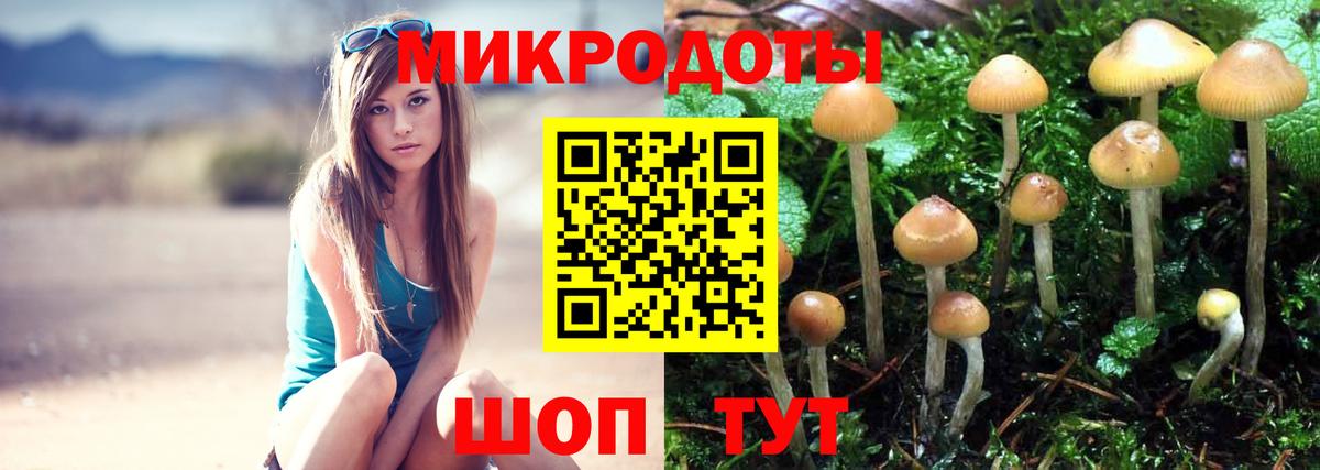 Дубна  Галлюциногенные грибы MAGIC MUSHROOMS  Псилоцибиновые грибы Magic Shrooms  купить закладку  Вход с VPN 